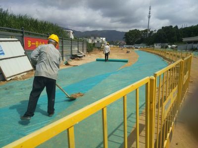 大鵬新區睿鵬大道市政工程監理日報(2019.5.14)